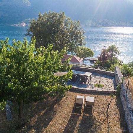 Villa Biskupovic With Stunning Views كوتور المظهر الخارجي الصورة