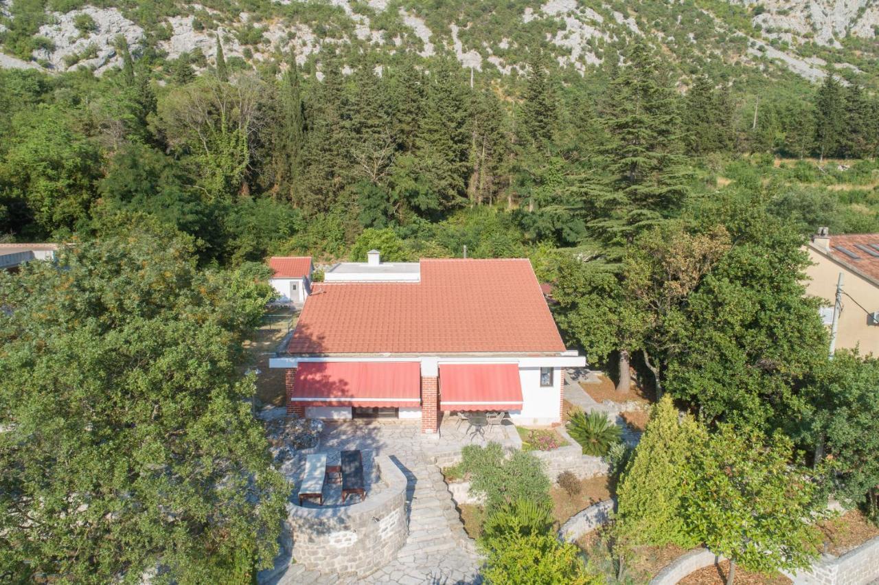 Villa Biskupovic With Stunning Views كوتور المظهر الخارجي الصورة